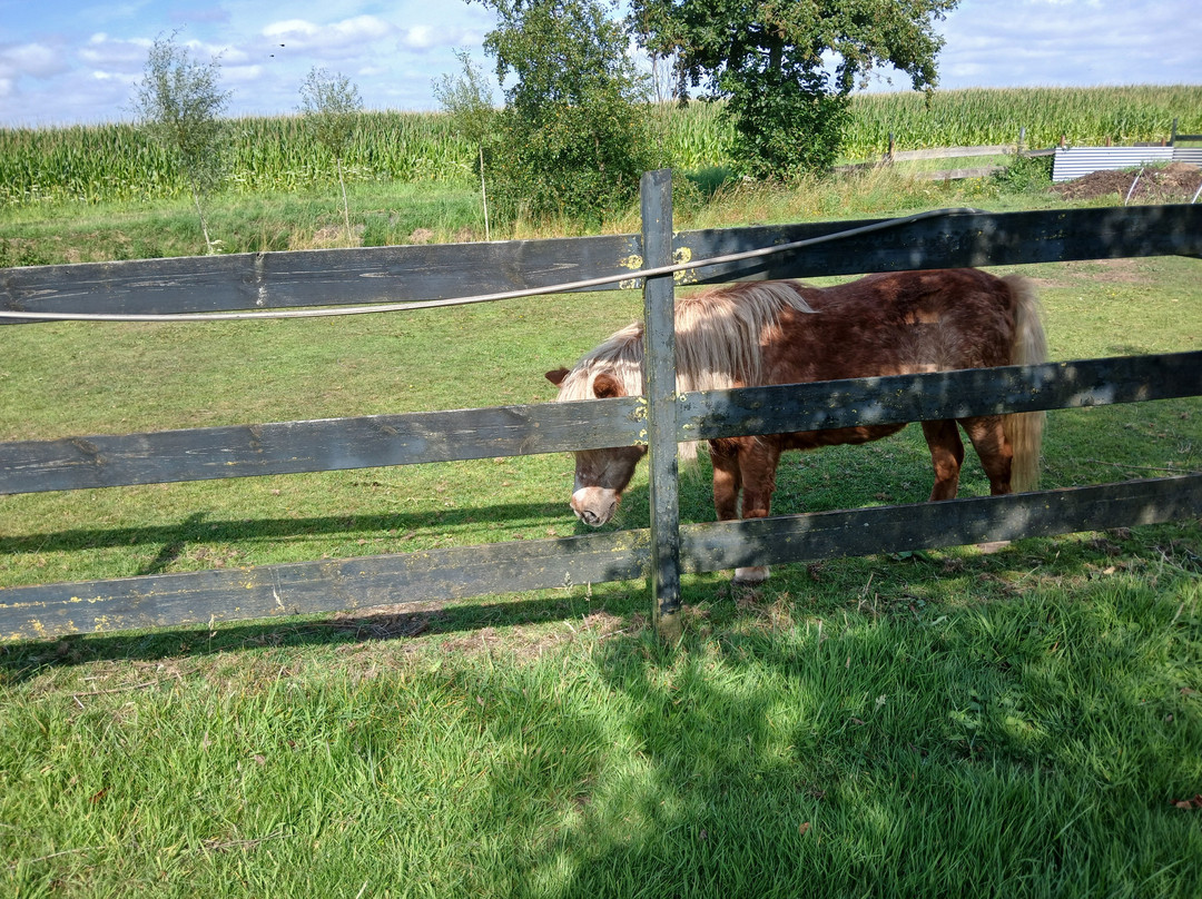 Shepherd's House主图