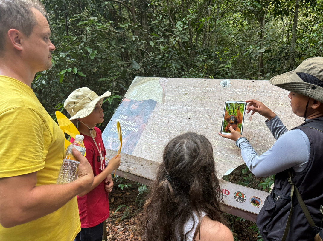 Orangutan Applause - Day Tours-Pangkalan Bun必去景点