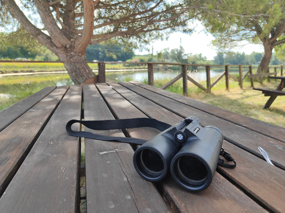 Parco della Salina di Cervia-切尔维亚必去景点