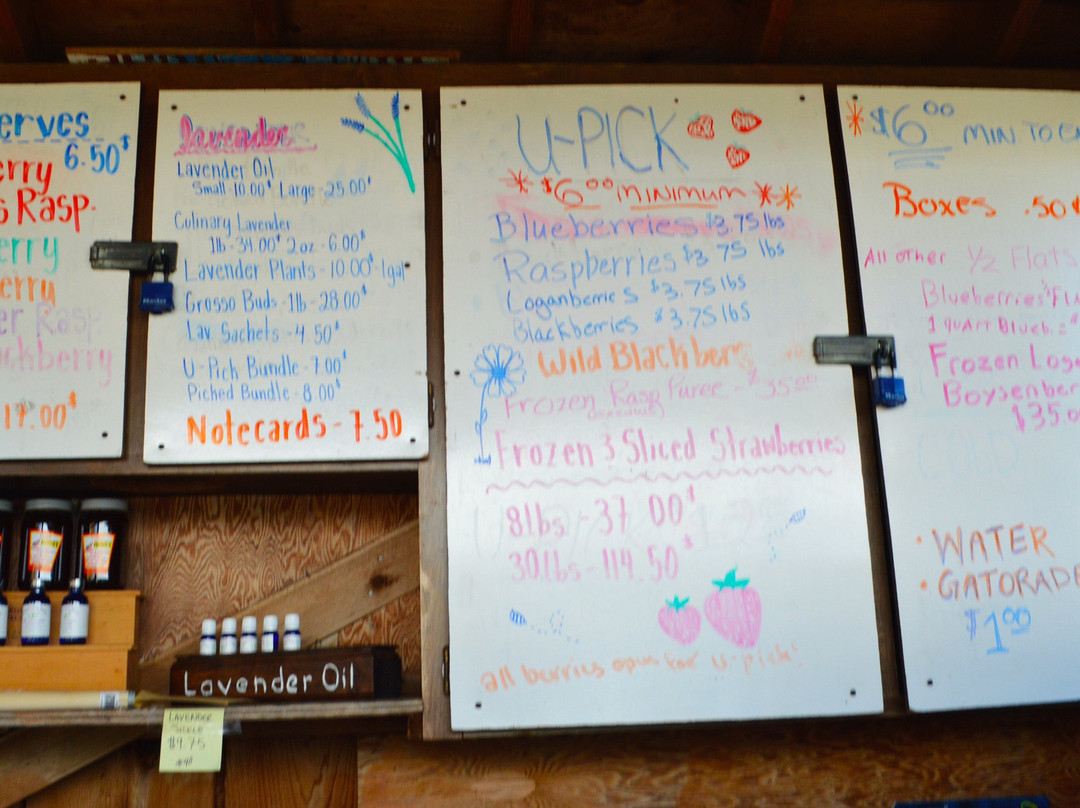 Graysmarsh Berry Farm-塞奎姆必去景点