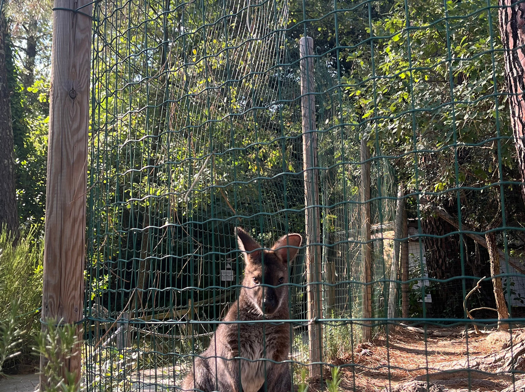 Jardin Animalier de Mialet-Mialet必去景点