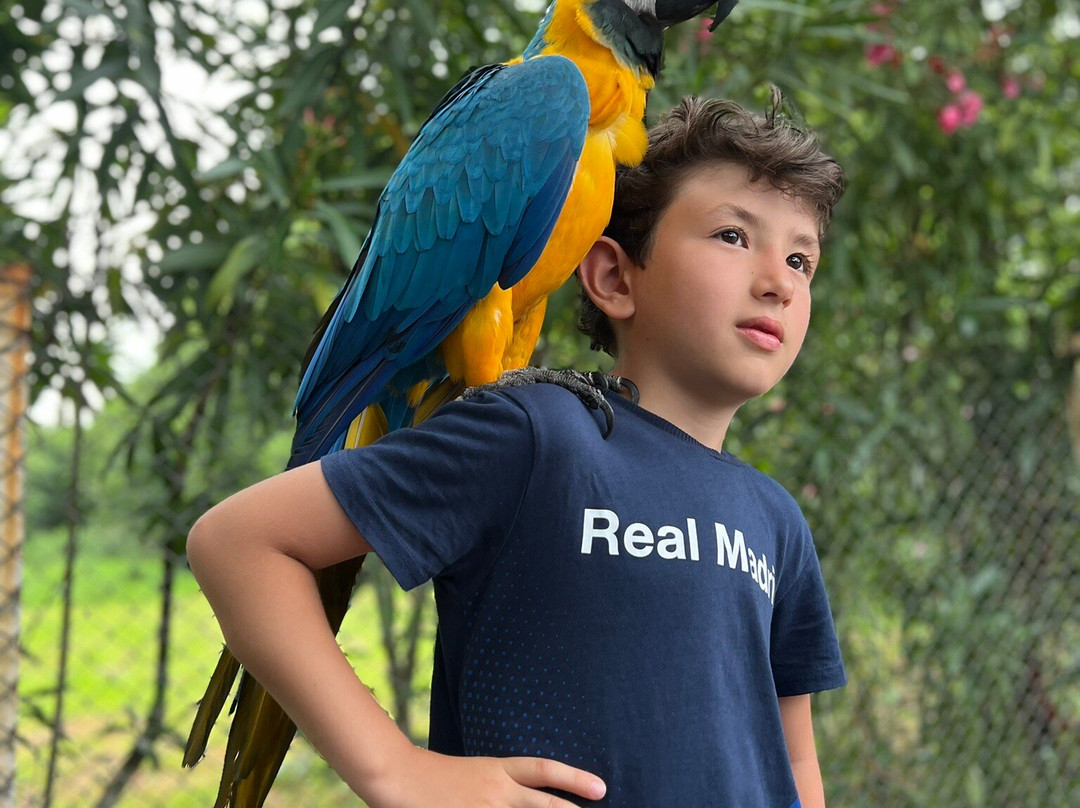 Shekvetili Dendrological Park-Shekhvetili必去景点