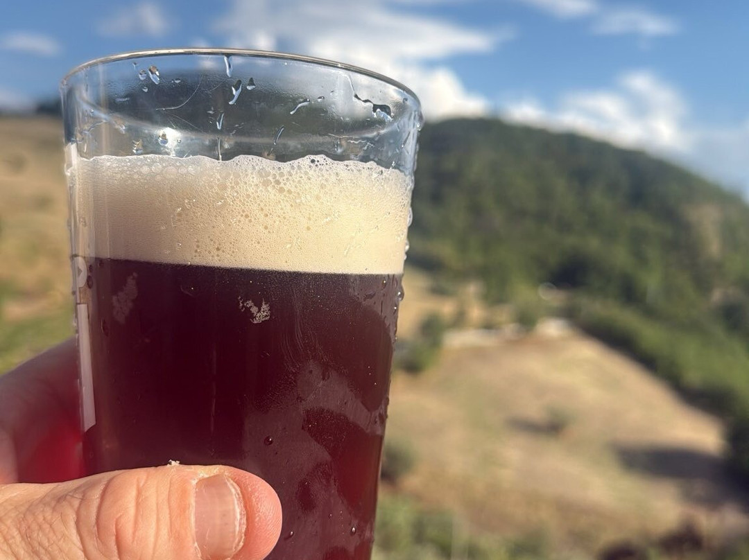 Microbirrificio Delphìn - Tap Room-Roccascalegna必去景点