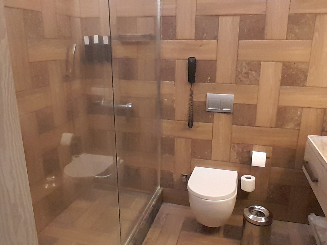 Polat Palandöken主图