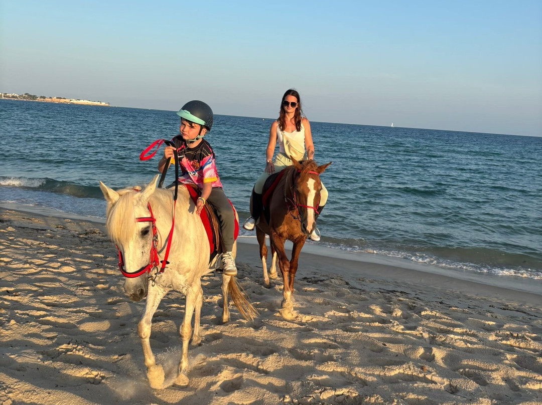 Club Equus Hammamet-哈玛麦德必去景点