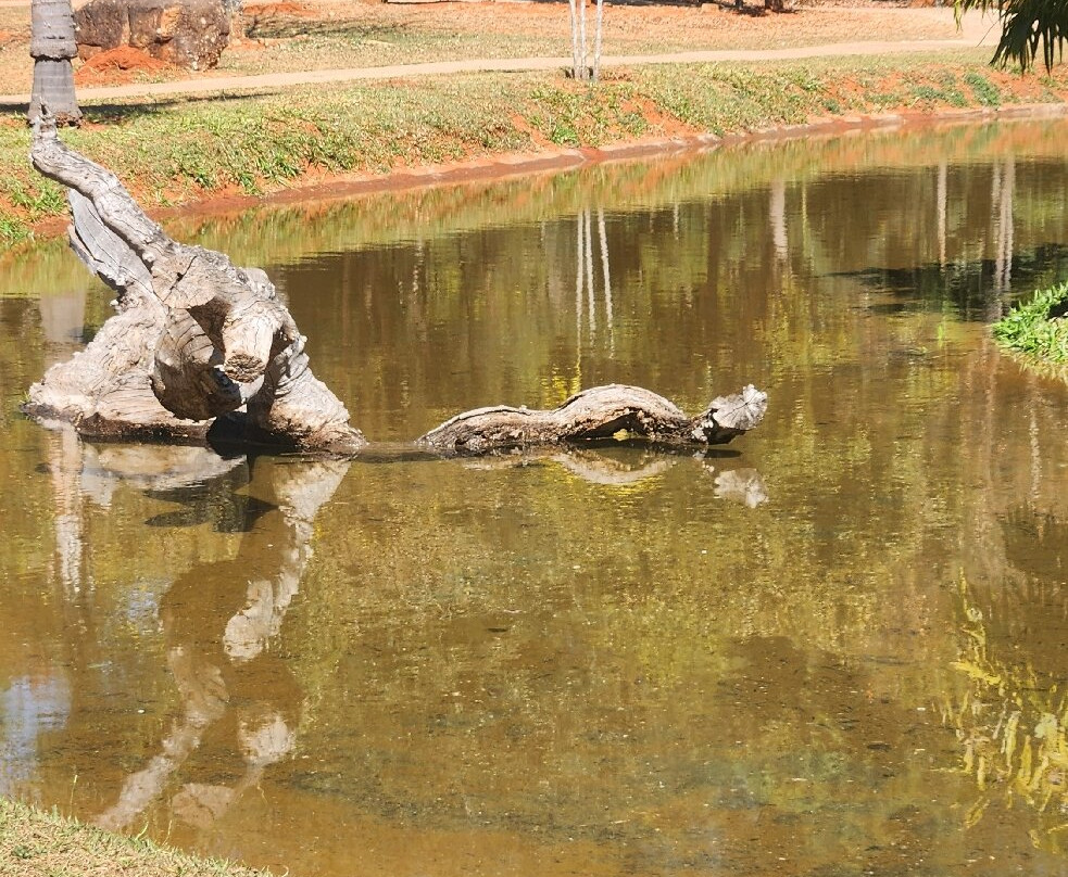 Jardim Botânico de Brasília-巴西利亚必去景点