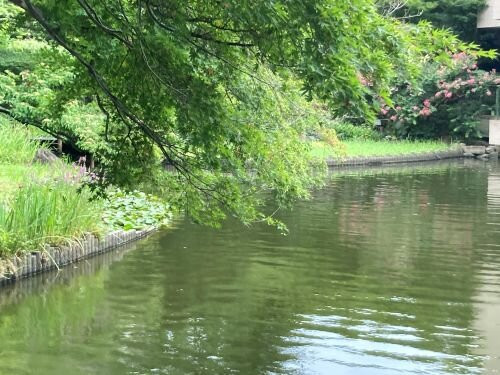 Gotenyama Garden-品川区必去景点