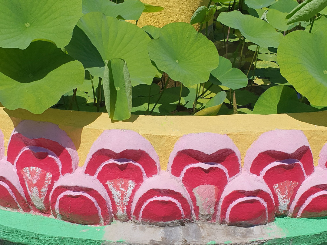 Pagode Hong Hien-弗雷瑞斯必去景点