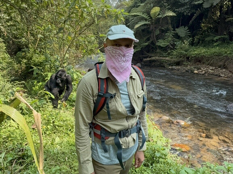 Gorilla Link Tours-坎帕拉必去景点