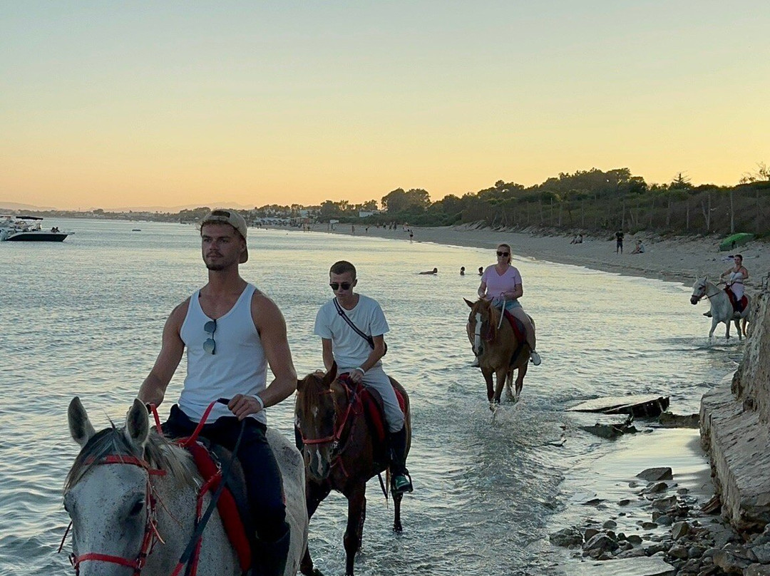 Club Equus Hammamet-哈玛麦德必去景点