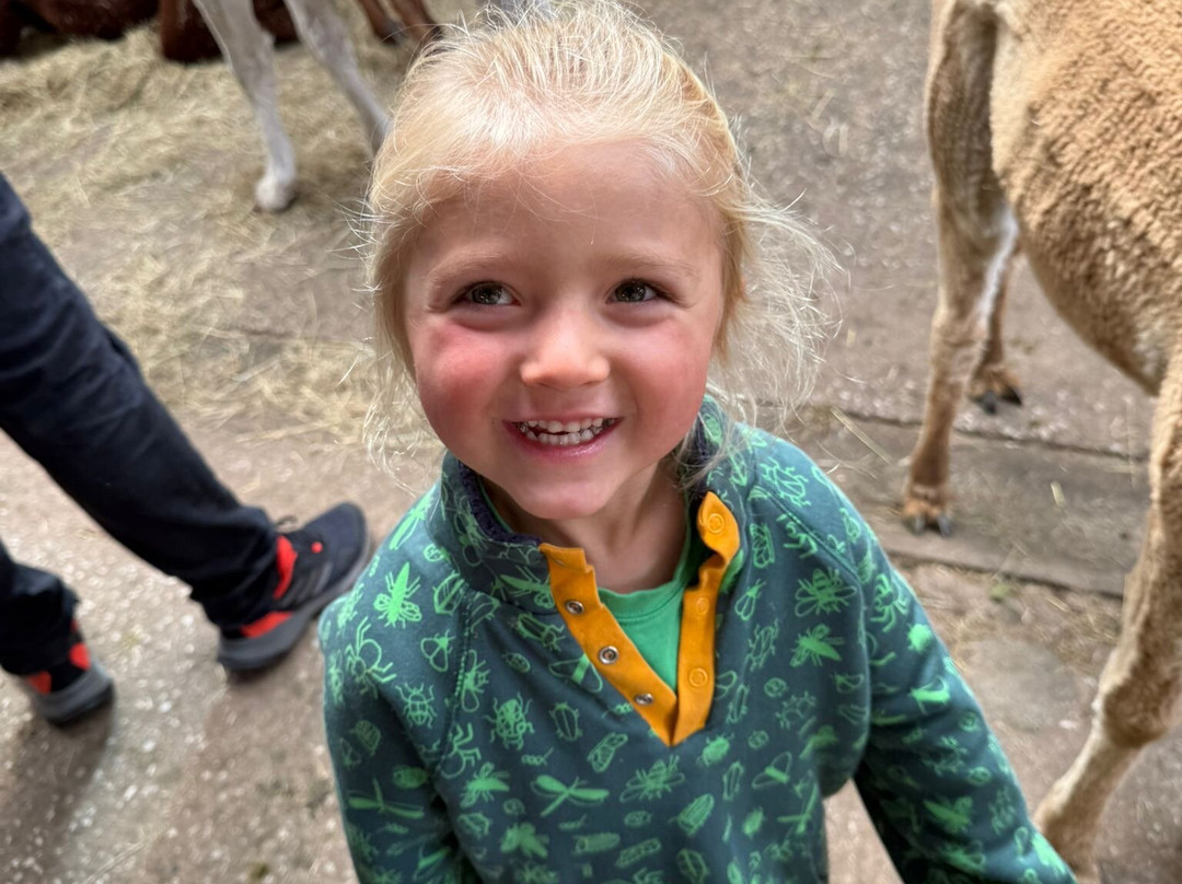 Poppywood Alpacas-博尔顿必去景点