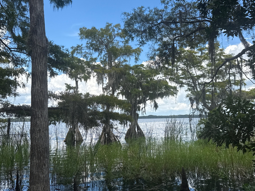 The Disney Wilderness Preserve-基西米必去景点