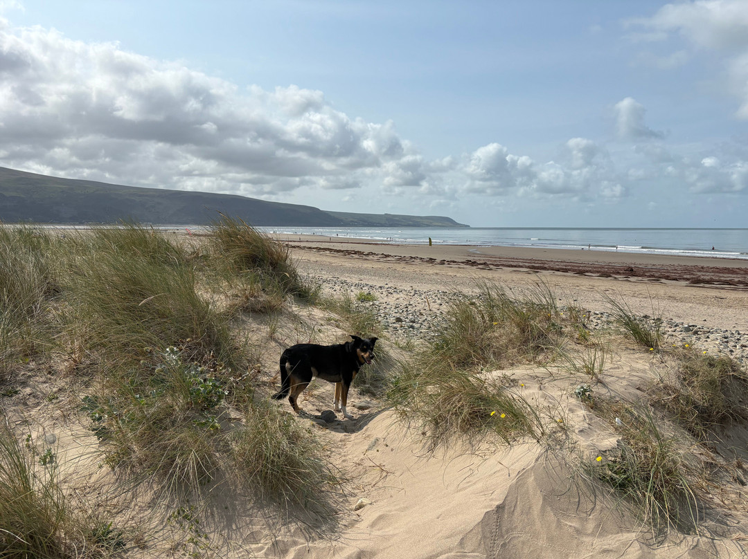 Mor Wyn Guest House主图