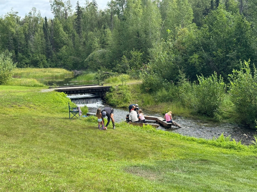 Alaska Wilderness Adventure - Talkeetna Atv Tours-塔尔基特纳必去景点