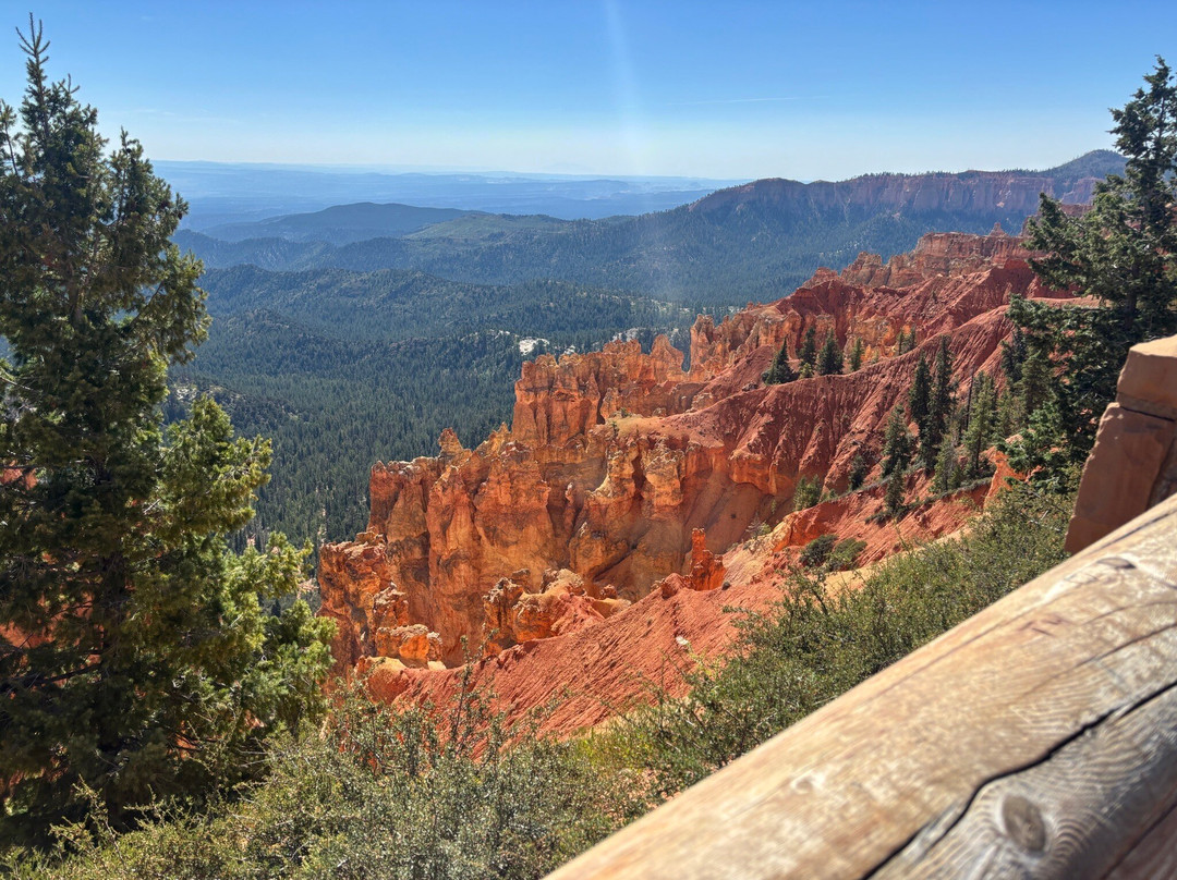 Ponderosa Canyon-布莱斯必去景点