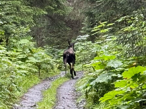 Atv Seward-苏厄德必去景点