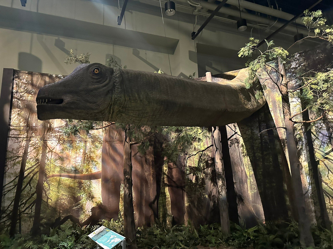 Peoria Riverfront Museum-皮奥里亚必去景点