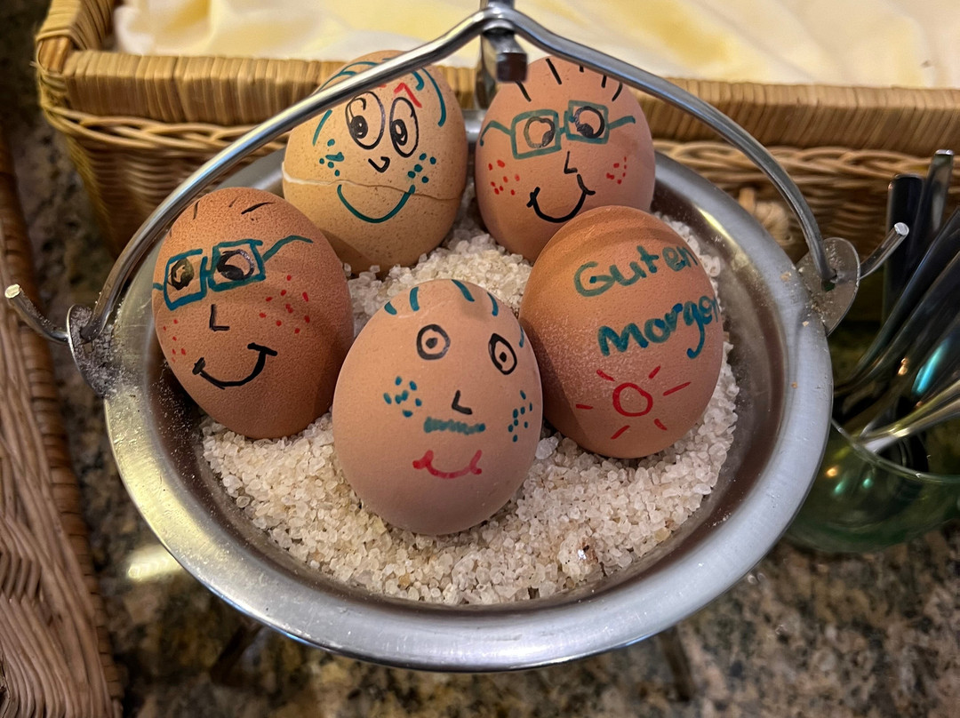 索妮哈德乡村酒店主图