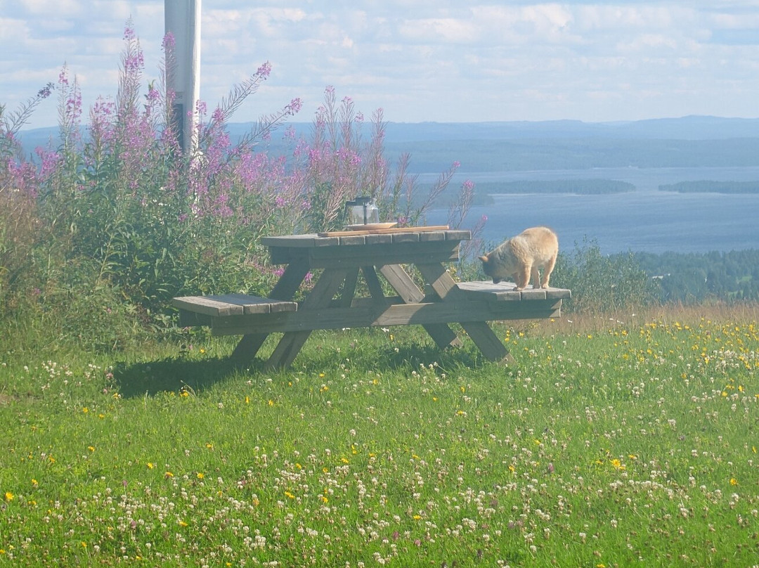 Jämtland and Härjedalen餐馆和美食-Wikners i Persåsens restaurang