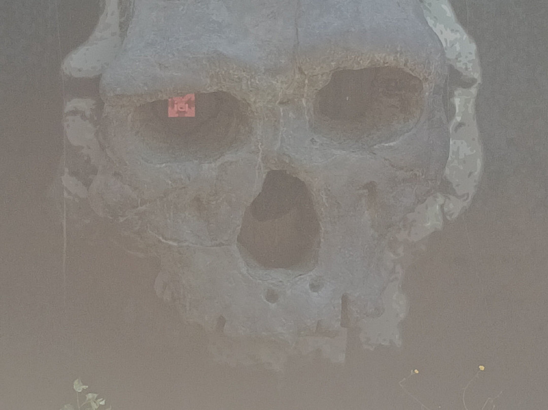 Museum of Préhistory Tautavel-Tautavel必去景点