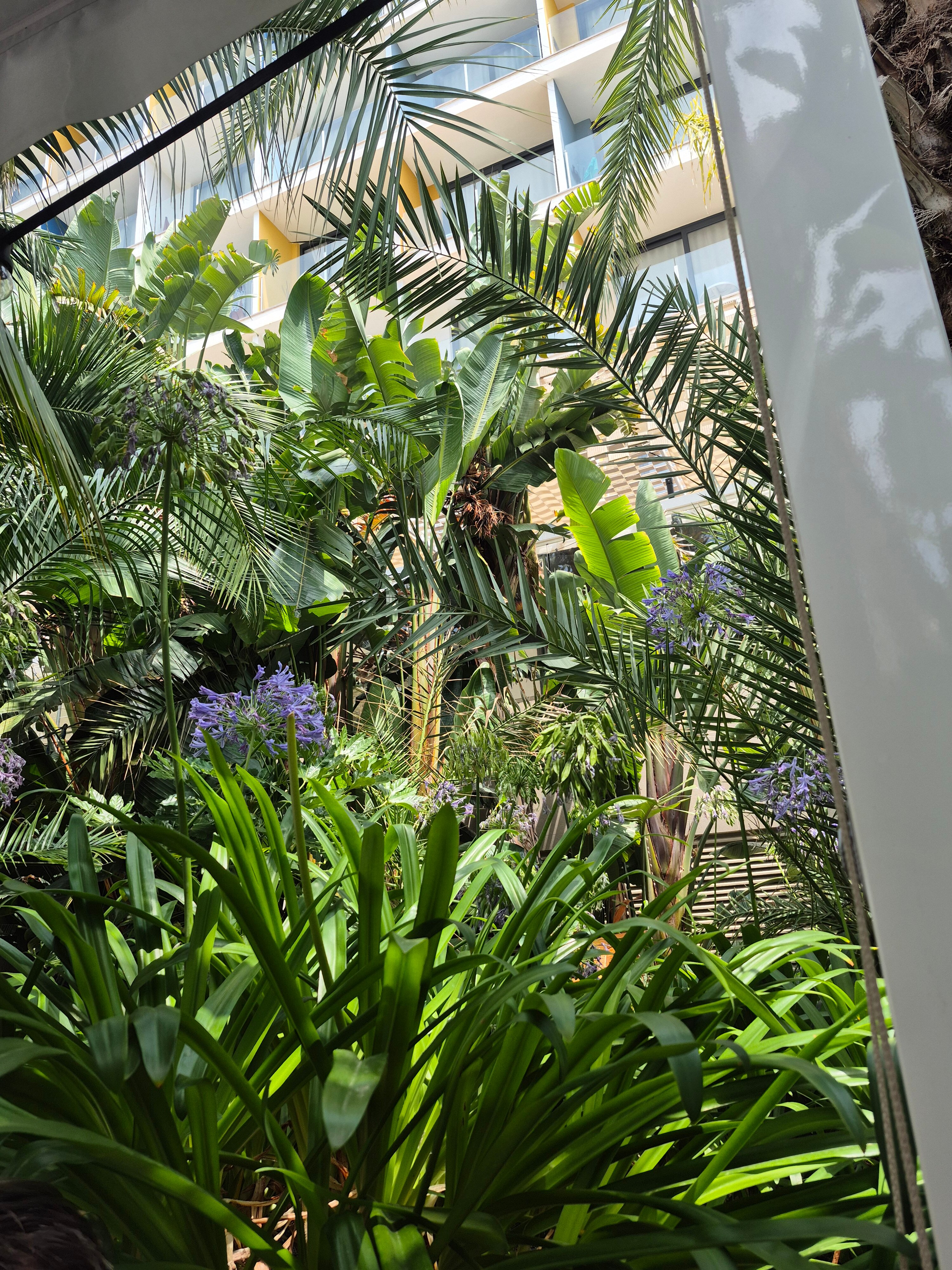 美丽海滩阿瓜酒店-浴室