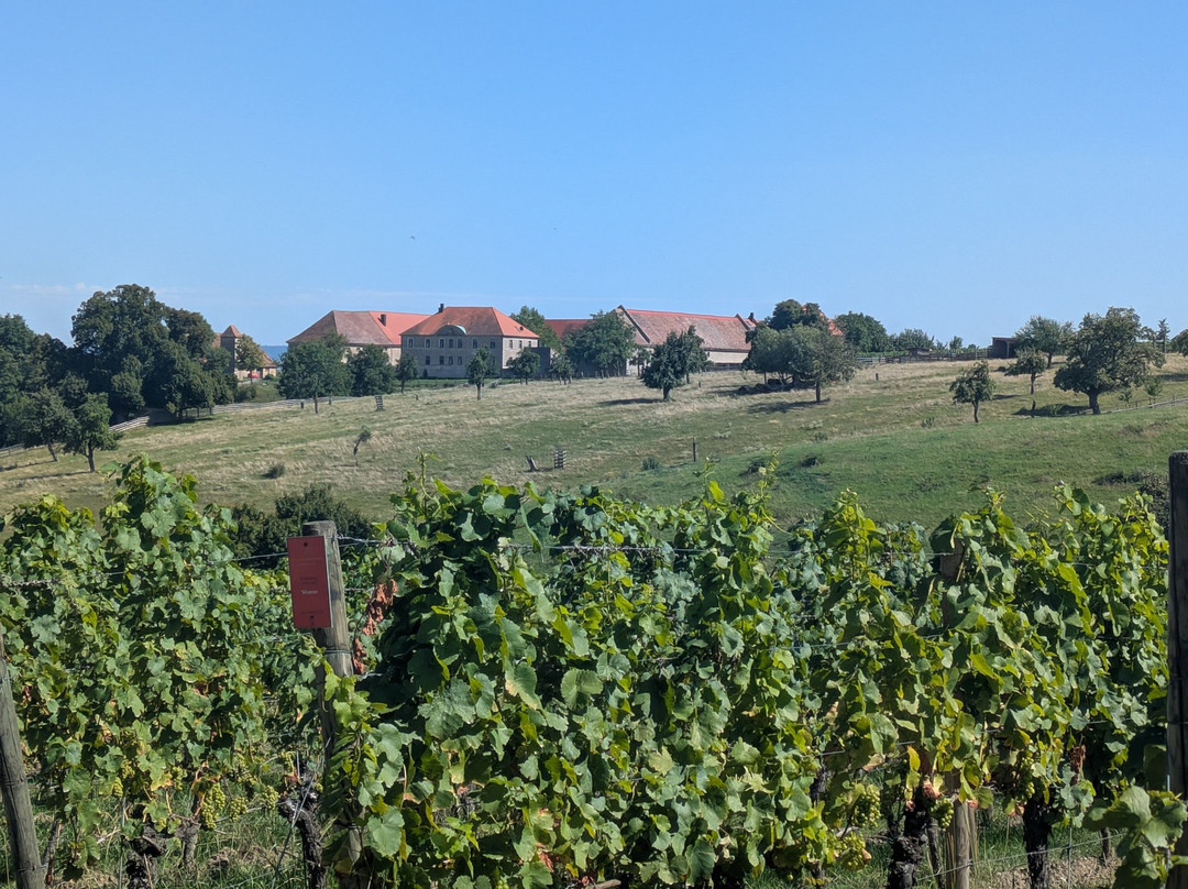 Weinspaziergang-维尔茨堡必去景点