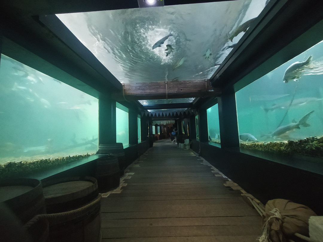 Aquarium De Touraine-Lussault-sur-Loire必去景点