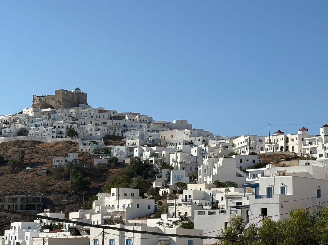 Stampalia Luxury Studios主图