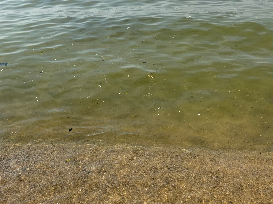 毕欧多拉海滩-费拉约港必去景点