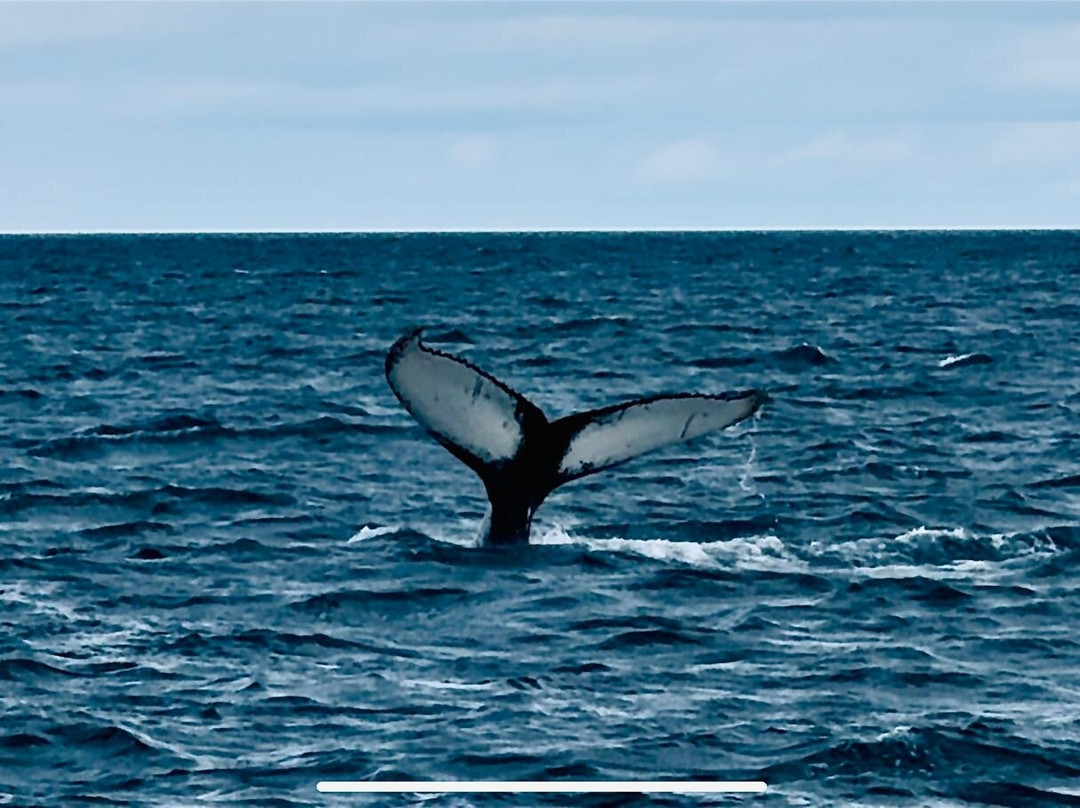 Lakitours-Holmavik必去景点