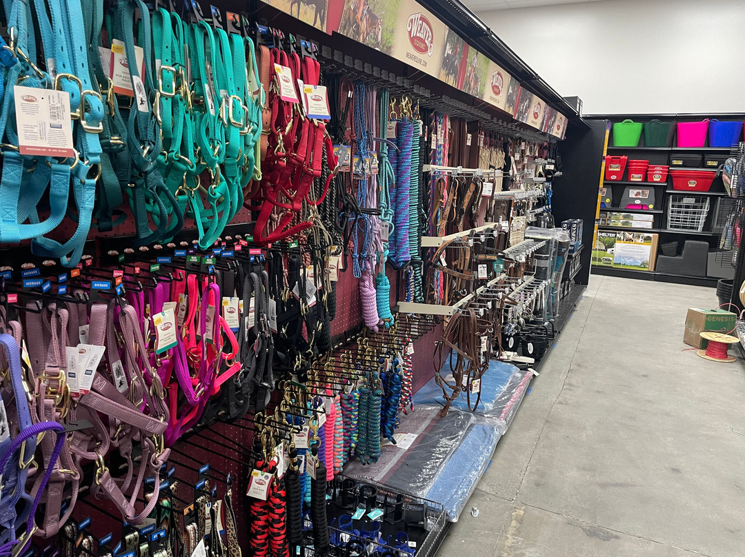 Grange Co-op-雷丁必去景点