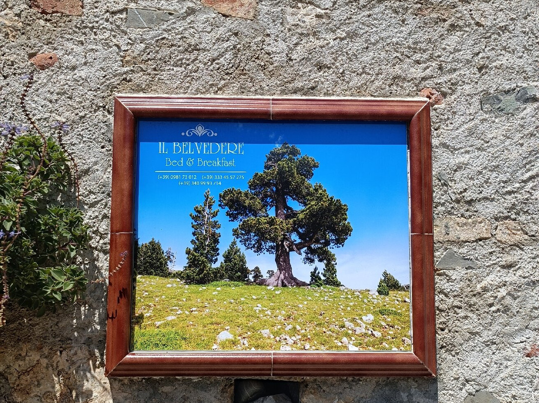 B&B Il Belvedere主图
