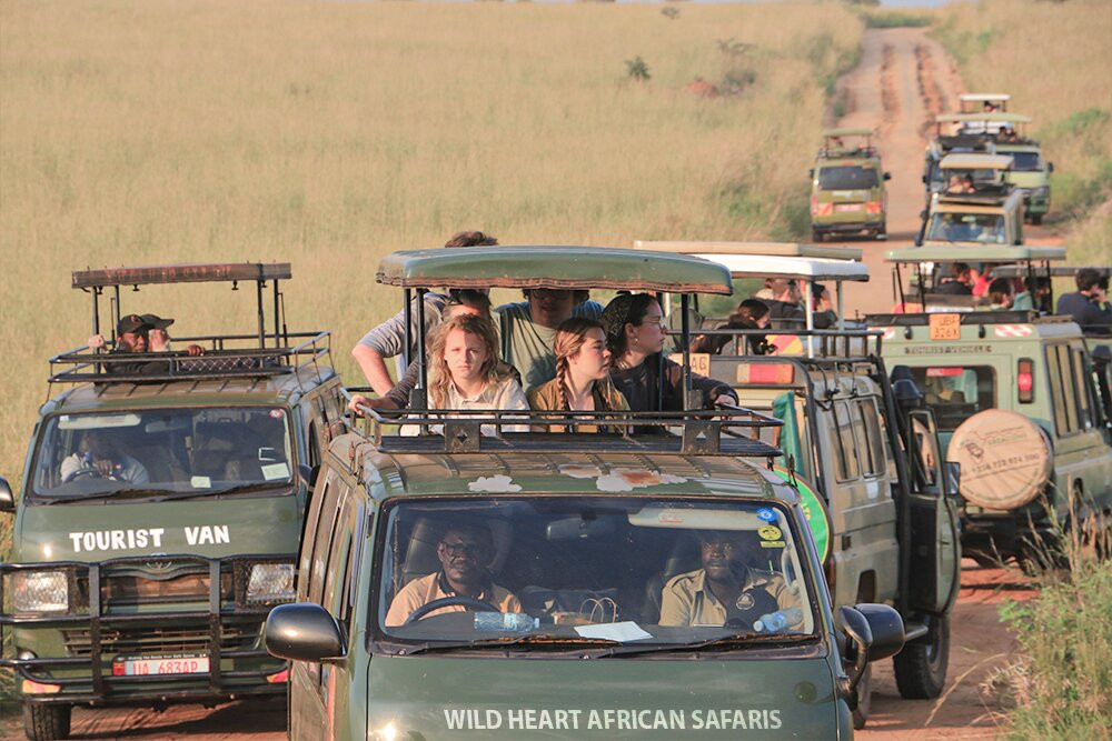Wild Heart African Safaris-坎帕拉必去景点