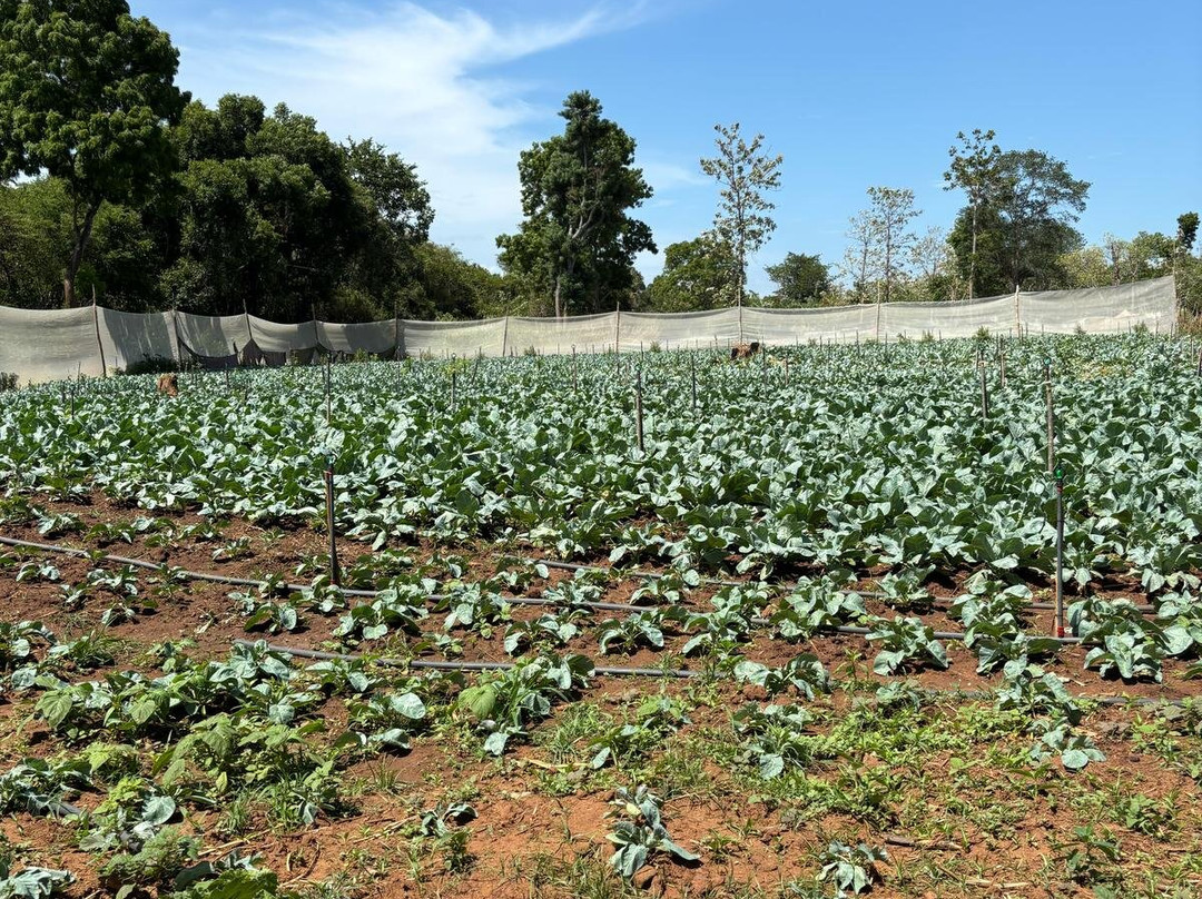 Etili Village Experience-埃勒必去景点