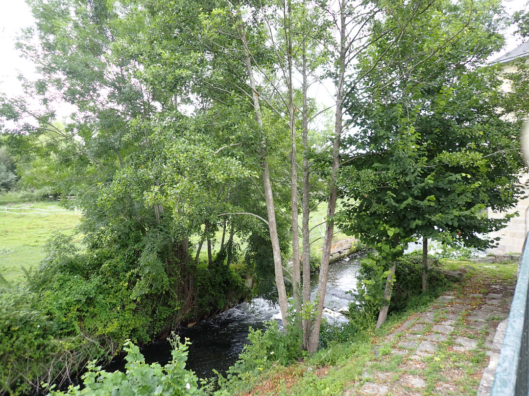 Circuit "Le long des canaux"-尚蒂伊必去景点