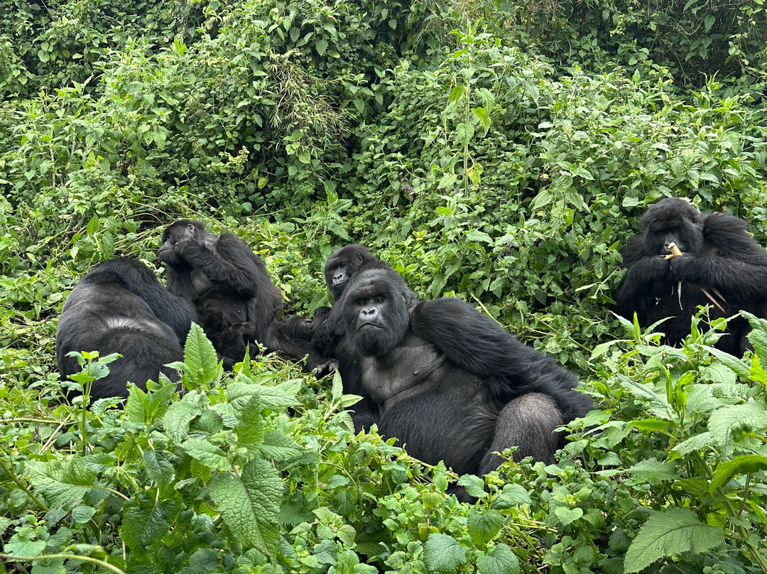 Irembo Africa Safaris Ltd-坎帕拉必去景点