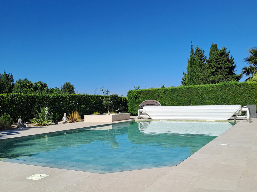 Hôtel La Bastide Saint Martin主图
