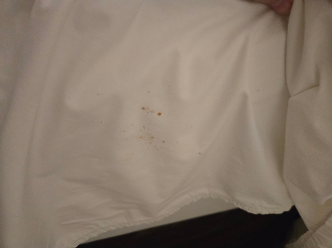 Rodeway Inn Hurricane - Zion National Park Area主图