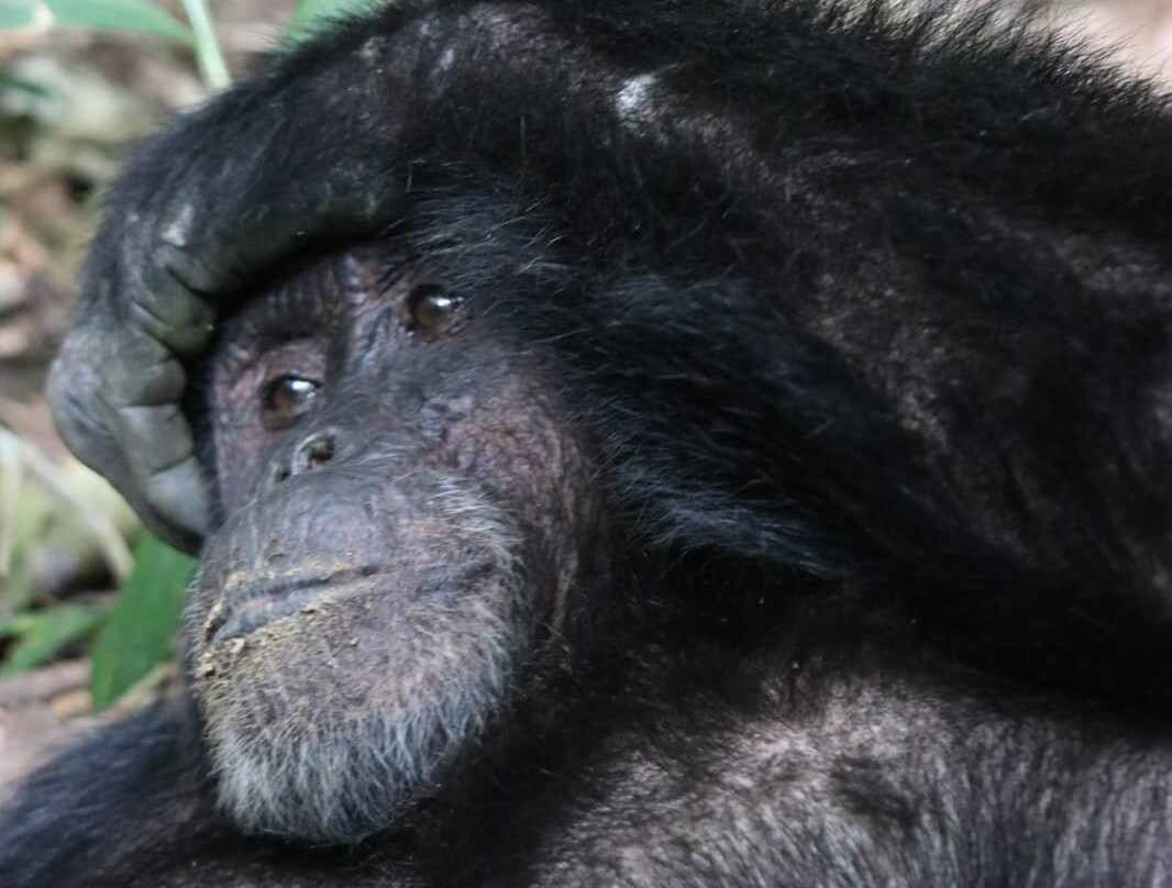 My Trip 2 Africa-Mbarara必去景点