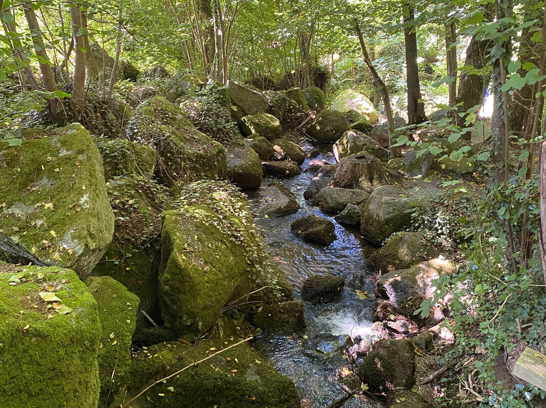 Gaishöll-Wasserfälle-Sasbachwalden必去景点