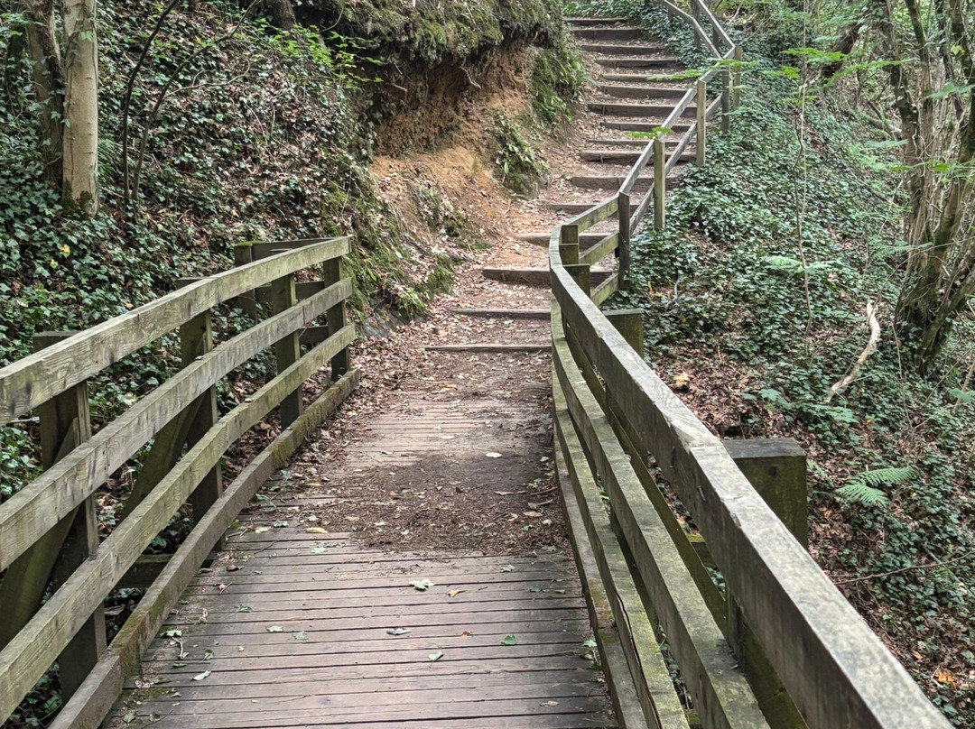 Killiecrankie Visitors Centre-Killiecrankie必去景点