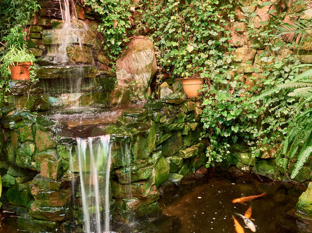 Ufa Botanical Garden-乌法必去景点