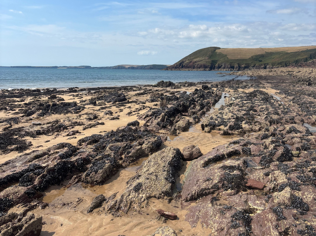 Manorbier Beach-Manorbier必去景点