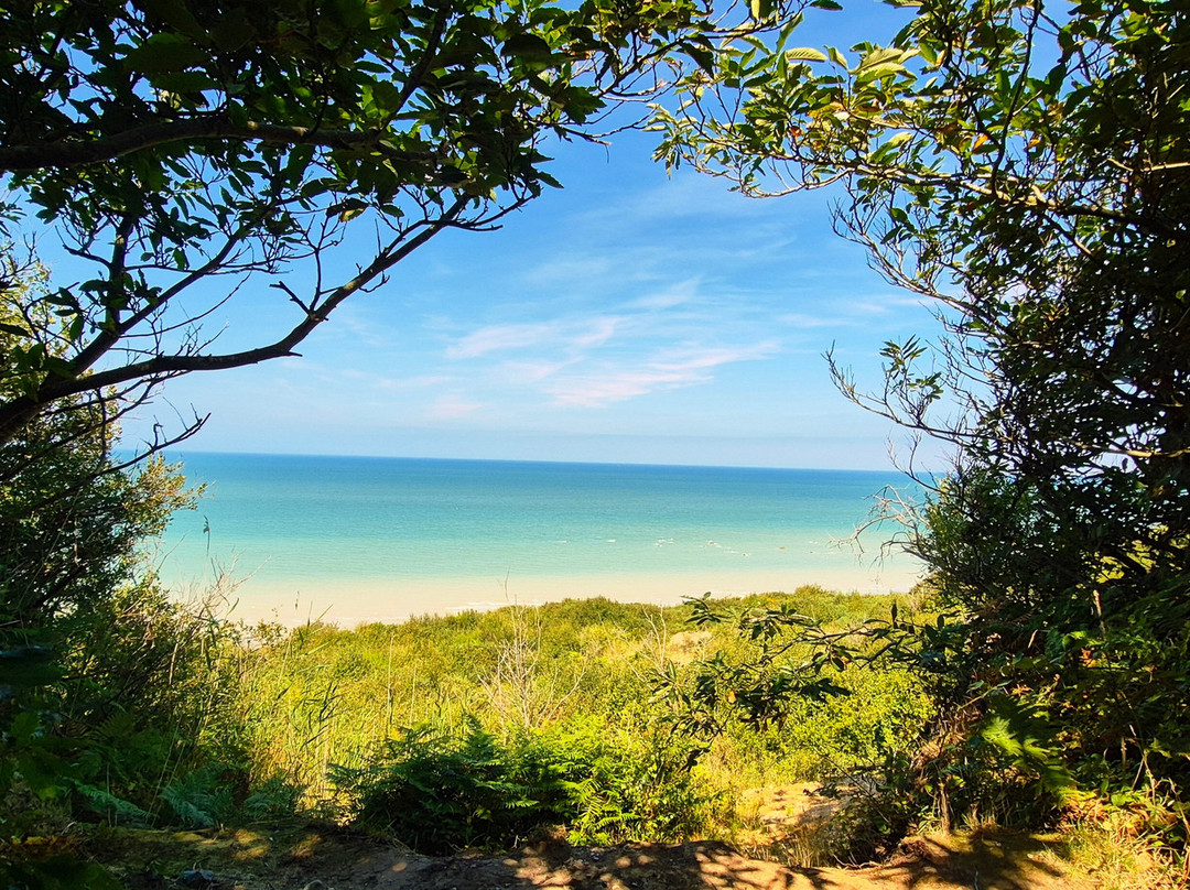 Phare d'Ailly-Sainte-Marguerite-sur-Mer必去景点