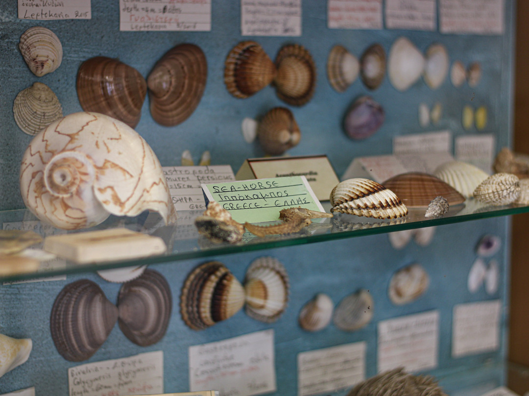 Geological History Museum Olympus-Leptokarya必去景点