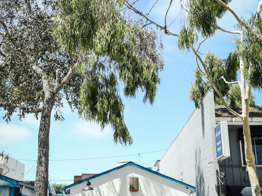 Luke's Lobster Balboa Island