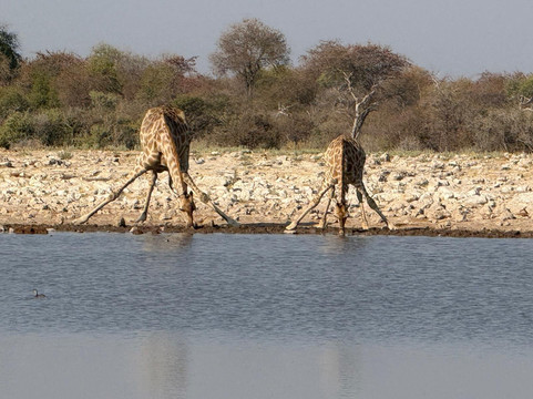 SunTrail Tours & Safaris