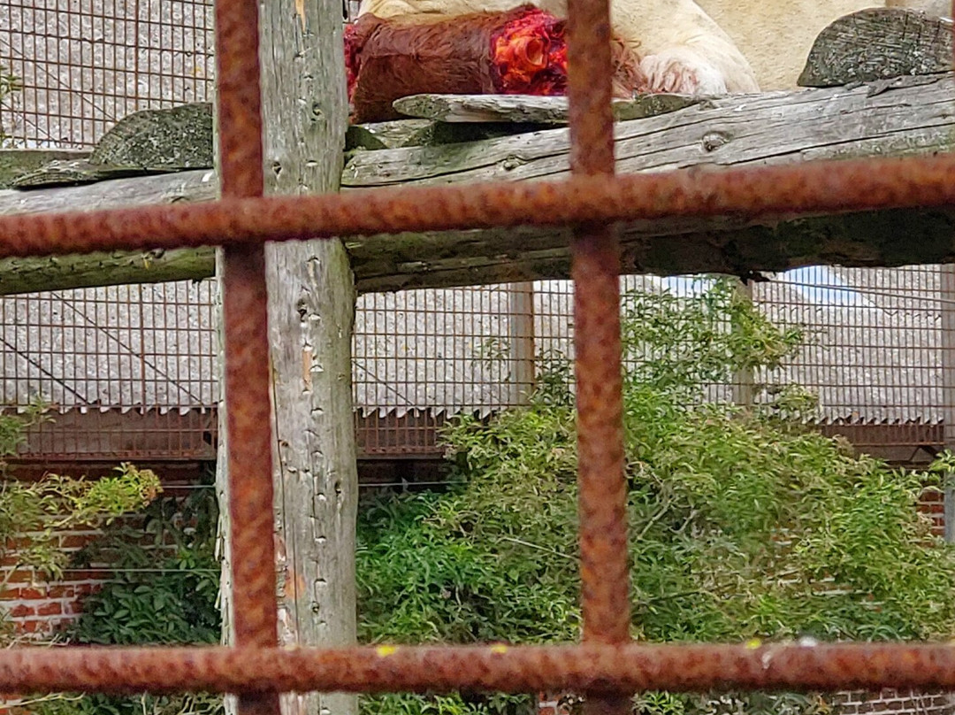 Blåvand Zoo-Blaavand必去景点