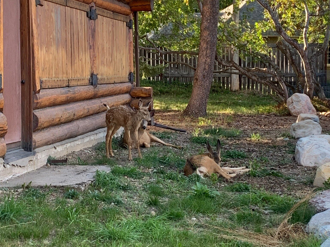 沃特顿村-沃特顿湖国家公园必去景点