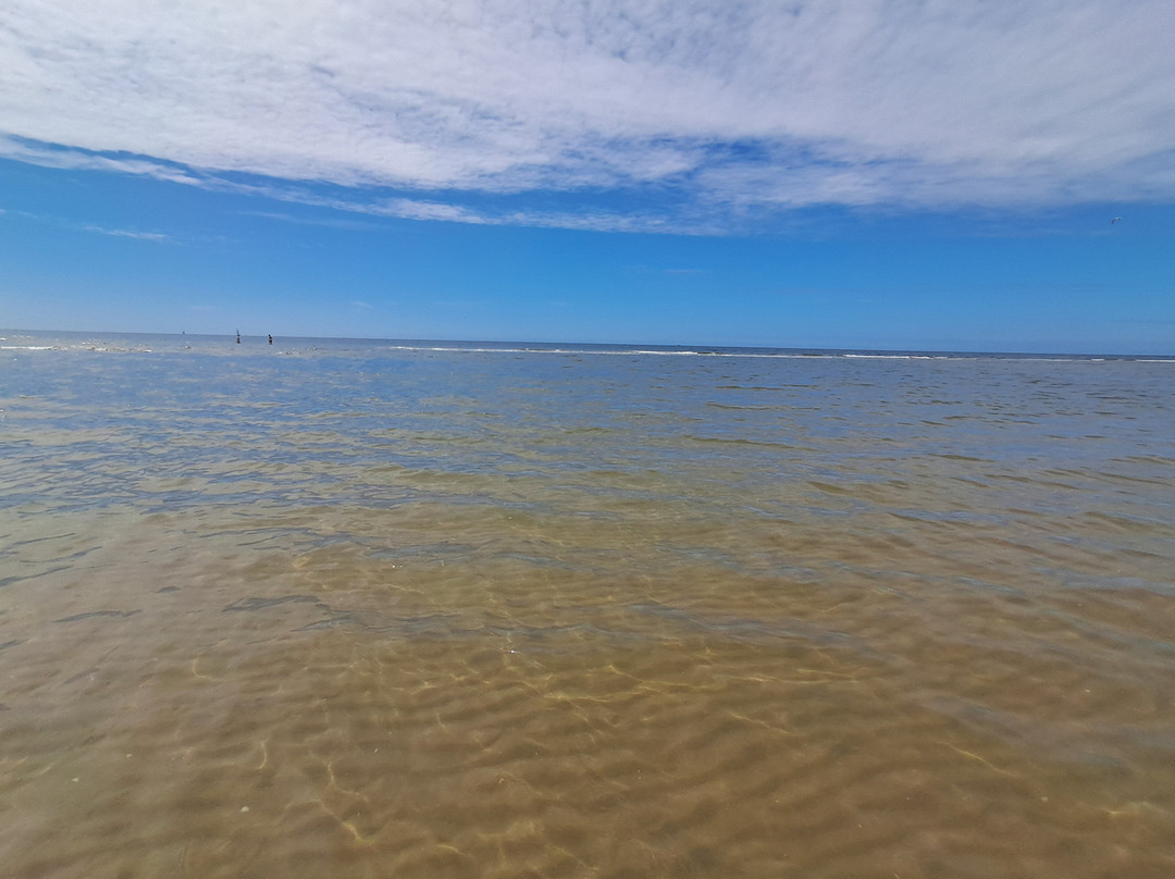 Hargen Aan Zee Strand-Schoorl必去景点